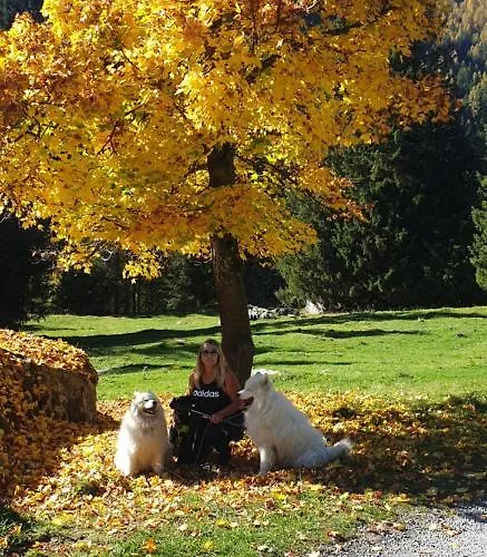 Haus Alpenflora レンゲンフェルト