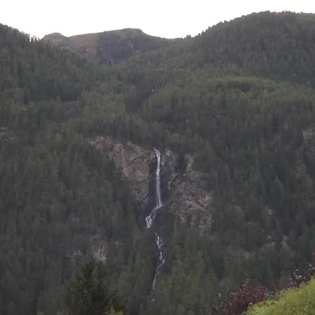 高山植物之家公寓 朗根费尔德