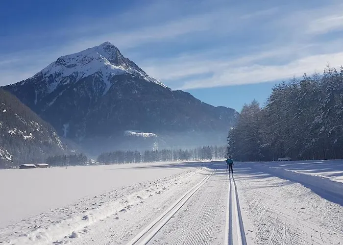 公寓 高山植物之家公寓 朗根费尔德