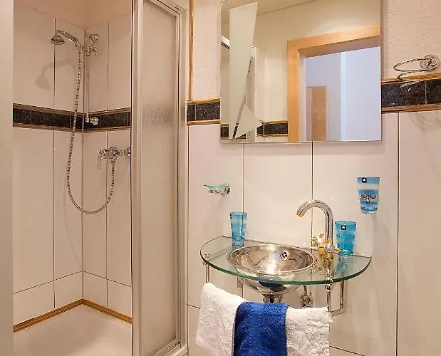 公寓 高山植物之家公寓 朗根费尔德